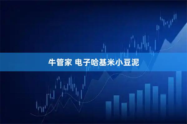 牛管家 电子哈基米小豆泥