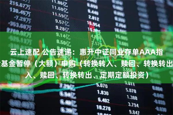 云上速配 公告速递：惠升中证同业存单AAA指数7天持有期基金基金暂停（大额）申购（转换转入、赎回、转换转出、定期定额投资）
