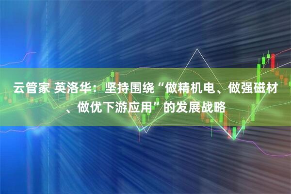 云管家 英洛华：坚持围绕“做精机电、做强磁材、做优下游应用”的发展战略