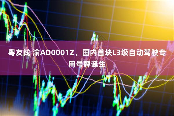 粤友钱 渝AD0001Z，国内首块L3级自动驾驶专用号牌诞生