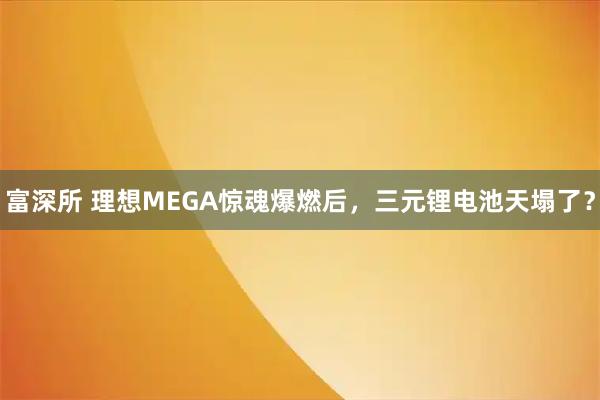富深所 理想MEGA惊魂爆燃后，三元锂电池天塌了？